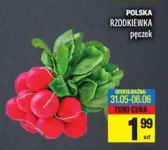TomiMarkt POLSKA RZODKIEWKA oferta