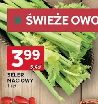 Stokrotka Optima SELER NACIOWY oferta