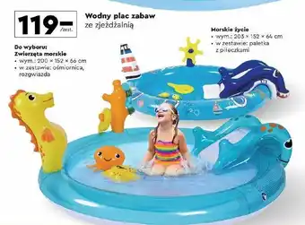 Biedronka Wodny plac zabaw zwierzęta morskie 200 x 152 66 cm Mondo oferta