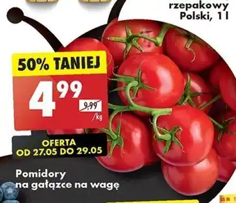 Biedronka Pomidory na gałązce 1kg oferta
