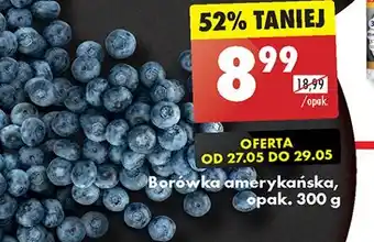 Biedronka Borówki amerykańskie oferta