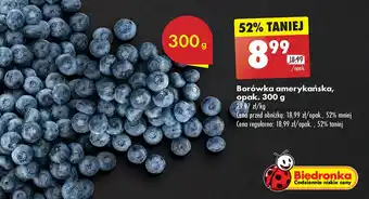 Biedronka Borówki amerykańskie oferta