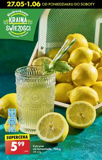 Biedronka Cytryny oferta