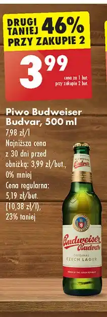 Biedronka Piwo Budweiser Budvar oferta