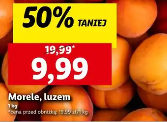 Lidl Morele oferta
