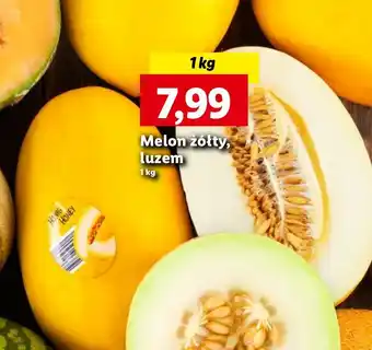 Lidl Melon żółty oferta