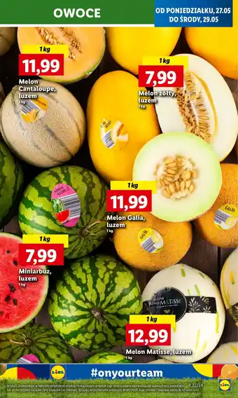 Lidl Arbuz mini oferta