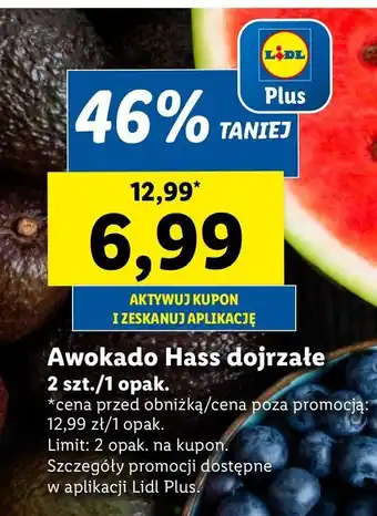 Lidl Awokado hass oferta