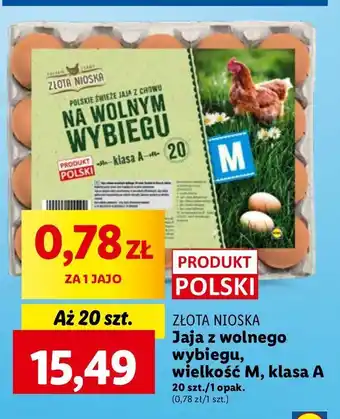 Lidl Jaja kl. m z wolnego wybiegu Złota Nioska oferta
