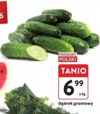 Intermarche Ogórek gruntowy 1 kg oferta