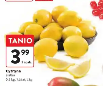 Intermarche Cytryna 0,5 kg oferta