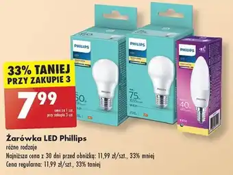 Biedronka Żarówka LED Phillips oferta