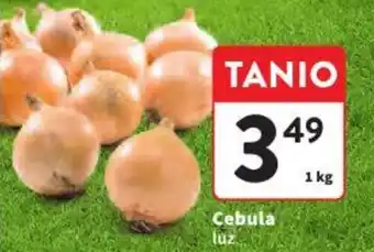 Intermarche Cebula 1 kg oferta