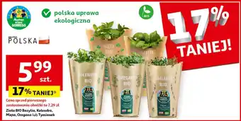 Auchan Zioła Pewni Dobrego oferta