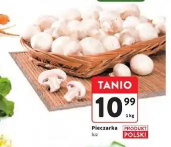 Intermarche Pieczarka 1 kg oferta