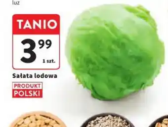 Intermarche Sałata lodowa oferta