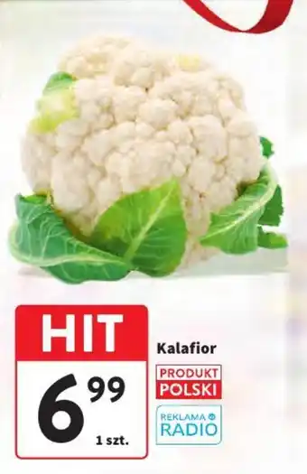 Intermarche Kalafior oferta