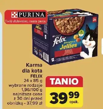 Carrefour Karma dla kota wiejskie smaki w galaretce Purina Felix Sensations Jellies oferta