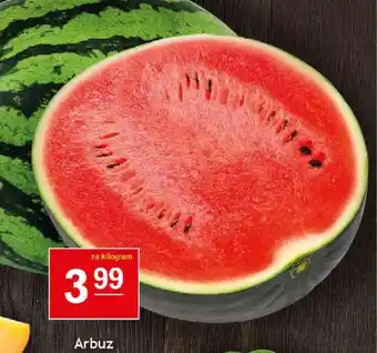 Arbuz