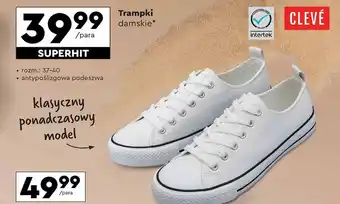 Biedronka Trampki damskie Cleve oferta