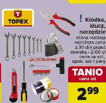 Kłodka Topex