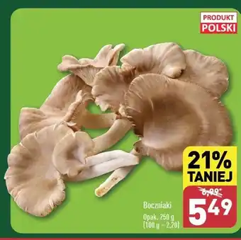 ALDI Boczniaki polska oferta
