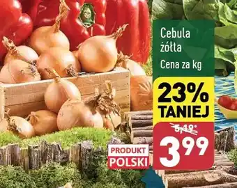 ALDI Cebula żółta polska oferta