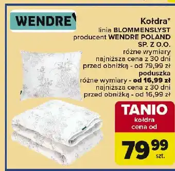 Carrefour Poduszka blommenslyst 40 x cm Wendre oferta