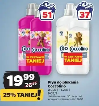 Netto Płyn do płukania Coccolino oferta