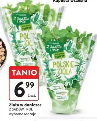 Intermarche Mięta Z sadów i pól oferta