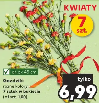 Goździki 7 sztuk