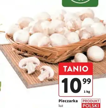 Intermarche Pieczarki polskie oferta