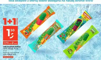 Dealz Lody kaktus-jablko Nestle Kaktus oferta