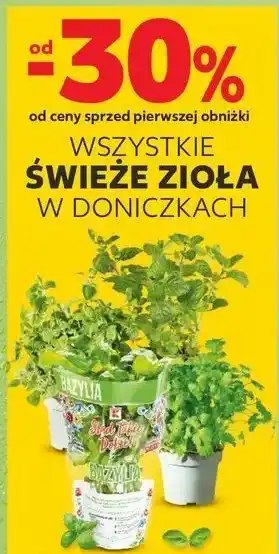 Kaufland Mięta K-Classic Stąd Takie Dobre! oferta