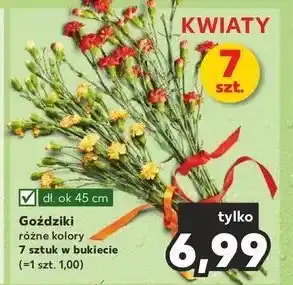 Kaufland Goździki bukiet oferta