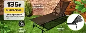 Netto Leżak ogrodowy oferta