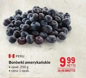 Makro Borówki amerykańskie Netto oferta