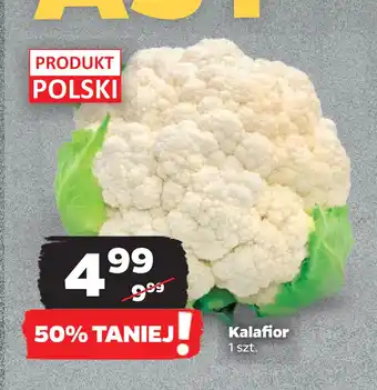 Netto Kalafior oferta