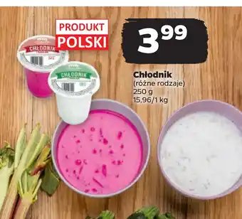 Netto Chłodnik oferta