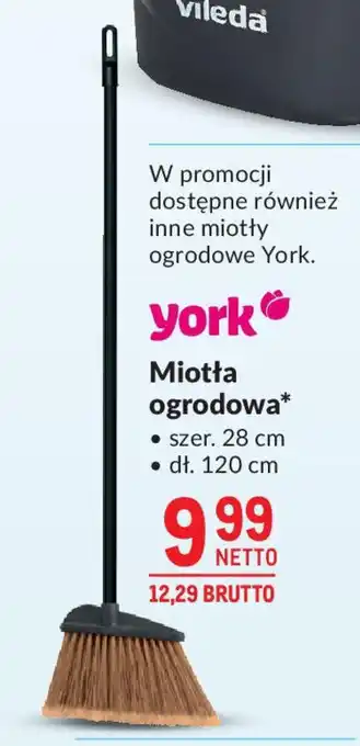 Miotła ogrodowa York