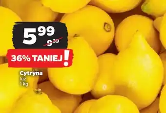 Netto Cytryny oferta