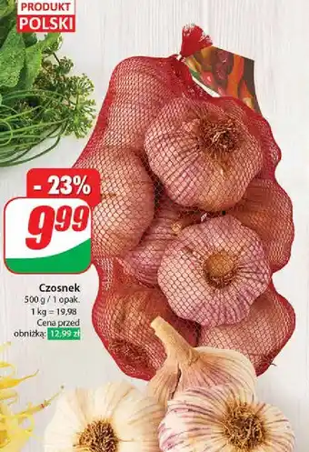 Dino Czosnek oferta