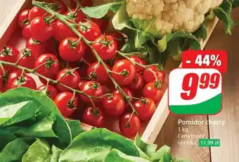 Dino Pomidory cherry czerwone oferta