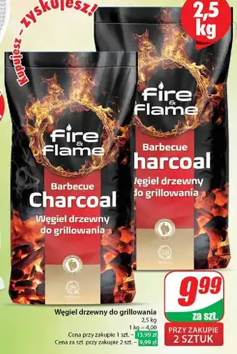 Dino Wegiel drzewny Fire & Flame oferta