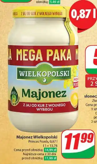 Dino Majonez Wielkopolski oferta