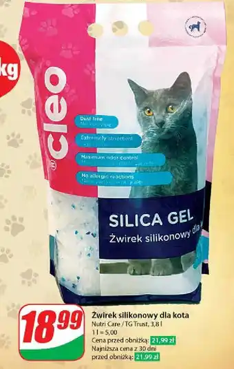Dino Żwirek silikonowy dla kota Cleo oferta