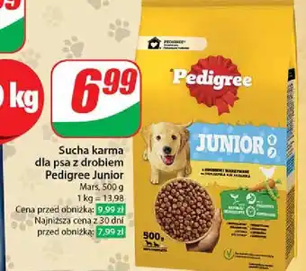 Dino Karma junior z kurczakiem Pedigree oferta