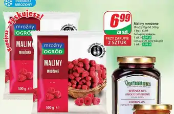 Dino Maliny Mroźny Ogród oferta