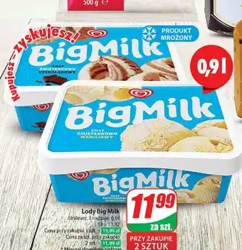 Dino Lody czekolada Algida Big Milk oferta