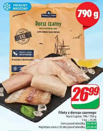 Dino Dorsz czarny Family Fish oferta